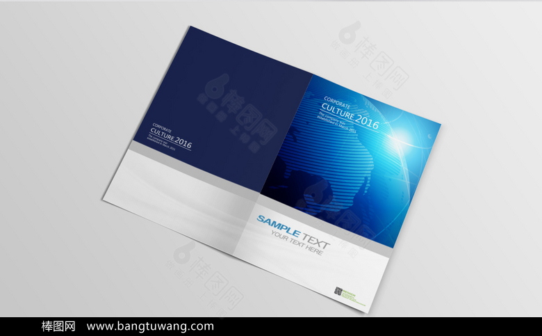 蓝色淡雅科技标书封面设计