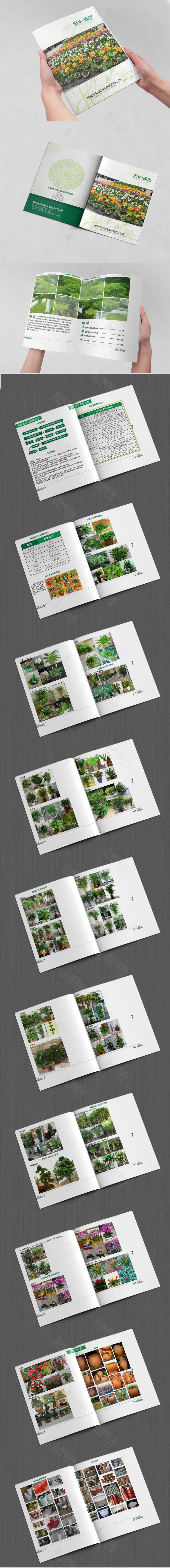 绿植花卉画册设计